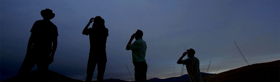 Picture of Chasing Einstein physicists looking to the sky.